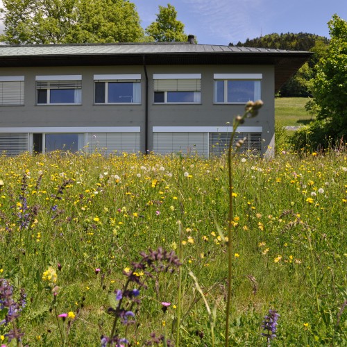 Looren 1 Looren (Suisse)